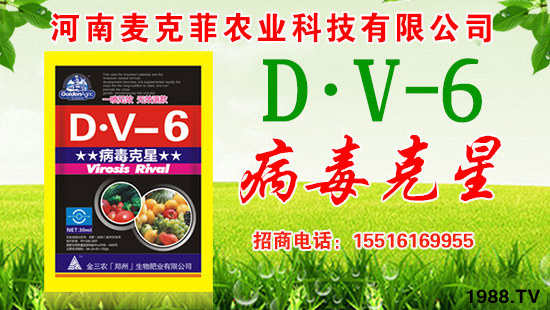 �����˷��r(n��ng)�I(y��)��ףȫ����(j��ng)�N�����w�������f��������