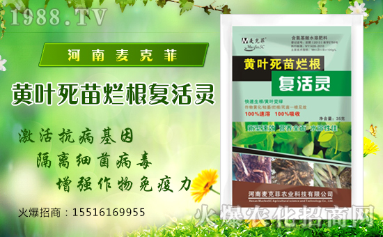 �����˷��r(n��ng)�I(y��)��ףȫ����(j��ng)�N�����w�������f��������