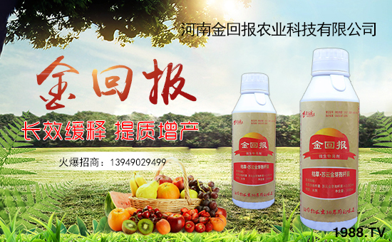     ����؈��r(n��ng)�I(y��)��ף������µ�һ�������w�����������³����f��������