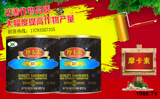 ����(qi��ng)о���H��ף������µ�һ�������w���������������