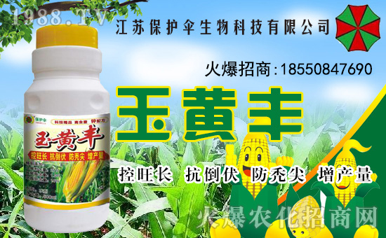 �����o(h��)�����ףȫ���������µ�һ���﹤�����������������