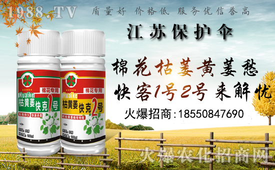 �����o(h��)�����ףȫ���������µ�һ���﹤�����������������