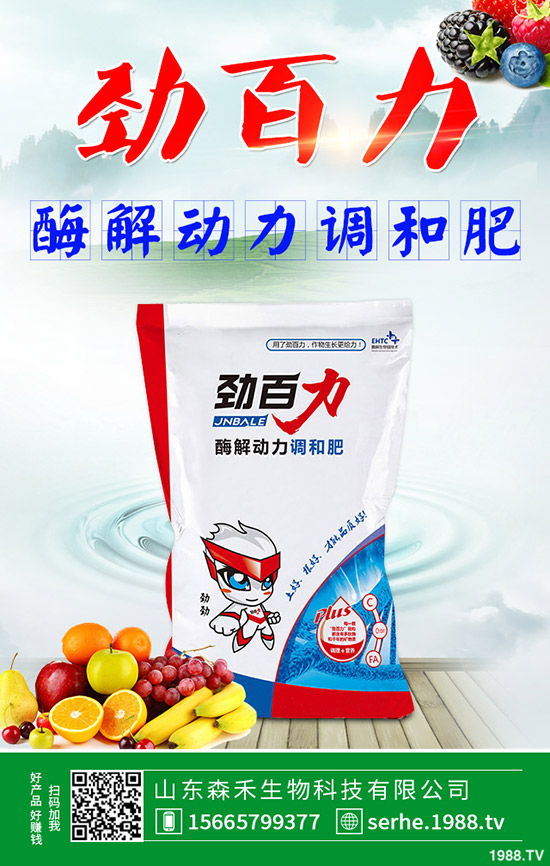 ��ɭ�����ףȫ���������µ�һ���﹤�����������������