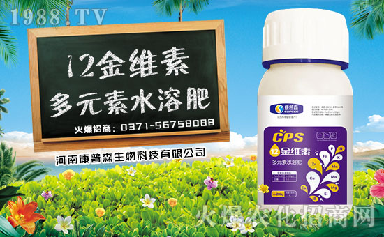 ������ɭ���ף������µ�һ����ϼҚg��(l��)�������d����