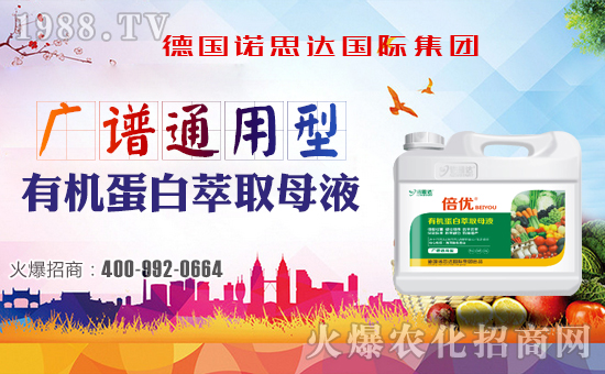 �����Z˼�_����ף����´��옷���Ҹ�������