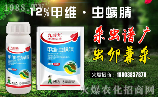 ��С�����r(n��ng)�I(y��)��ף������µ�һ�������w�����������³����f��������