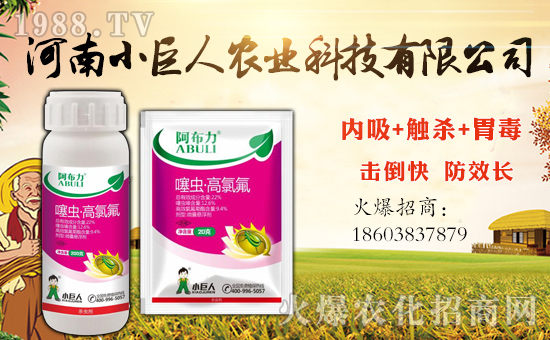 ��С�����r(n��ng)�I(y��)��ף������µ�һ�������w�����������³ɣ��f��������