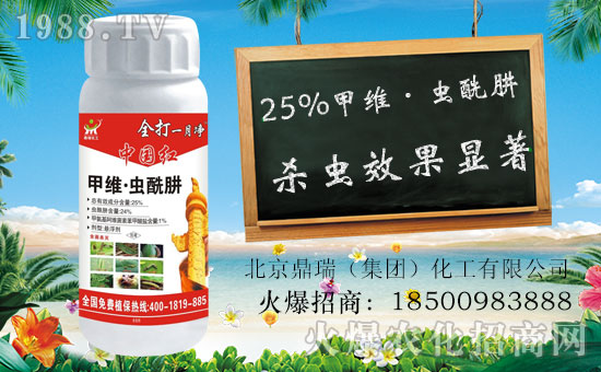     ����������ף������µ�һ�����Ҹ����M���H�Қg����