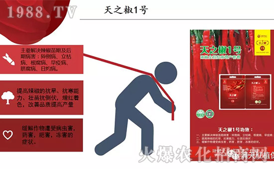 �����ϝM��t��ף������µ�һ���﹤�����������������