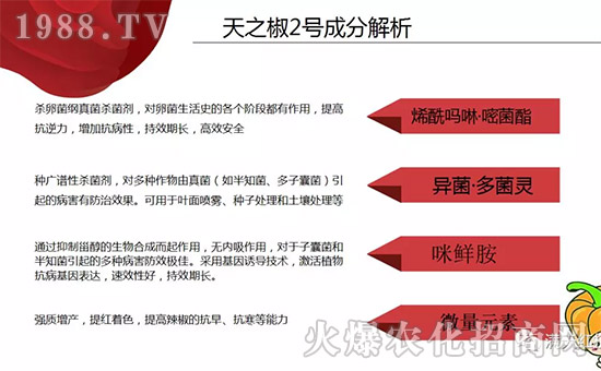 �����ϝM��t��ף������µ�һ���﹤�����������������