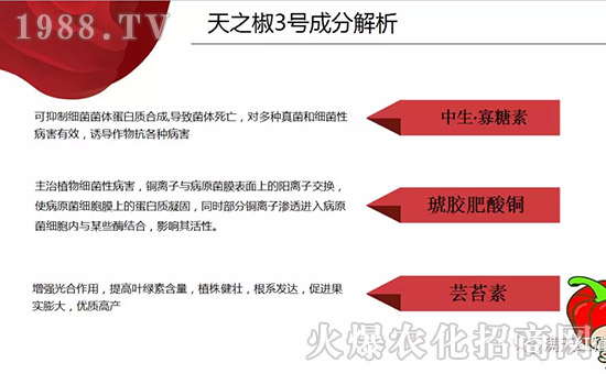 �����ϝM��t��ף������µ�һ���﹤�����������������