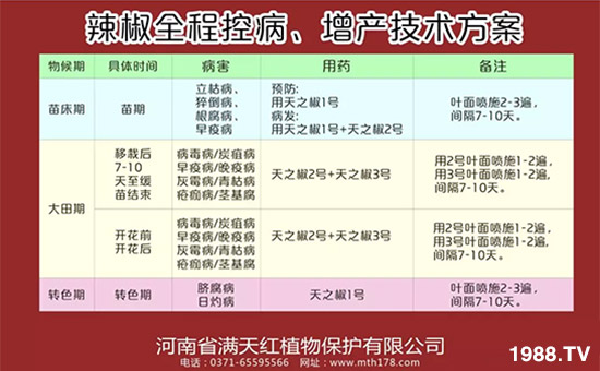 �����ϝM��t��ף������µ�һ���﹤�����������������