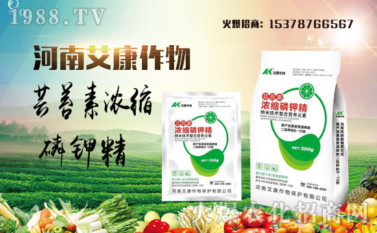 �����ϰ�����ףȫ�����N�����w�������i�꼪����