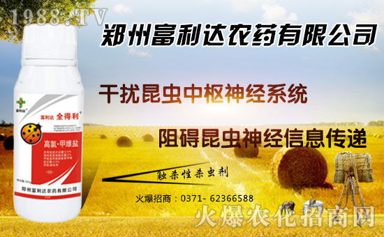 �������_��ףȫ���������µ�һ���﹤�����������������