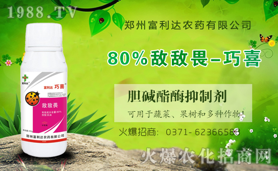 �������_��ףȫ���������µ�һ���﹤�����������������