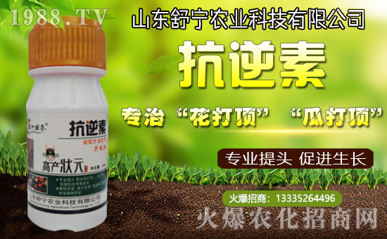 ���挎�r(n��ng)�I(y��)���������Ͽ͑��´��옷�����۰�����