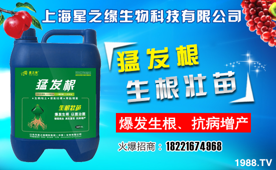 ����֮������ף����´��옷�����w�������H���Ҹ����f��������