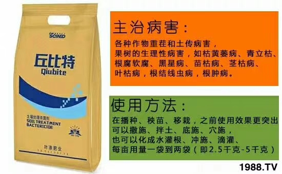 ��ʩ���_(d��)����ף������w�������H���Ҹ����i�����