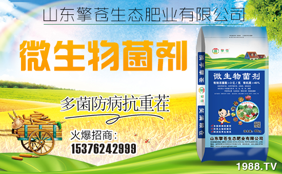 �����n���B(t��i)����ף���Ͽ͑��i���д��\��ؔԴ�L�L����