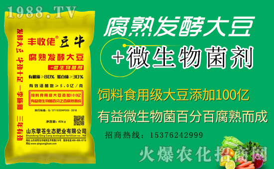 �����n���B(t��i)����ף���Ͽ͑��i���д��\��ؔԴ�L�L����