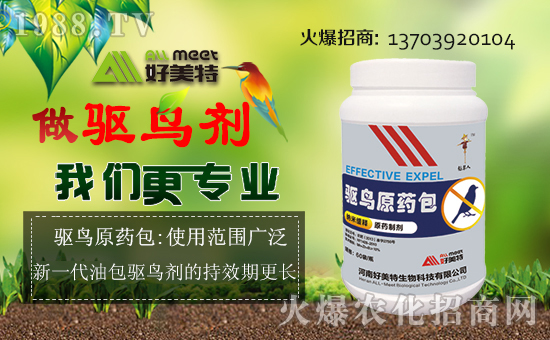 �����������ȫ�w�T��ף����´��옷(l��)������������