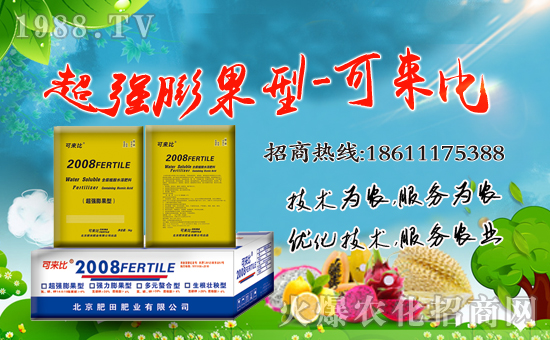 ������ʘI(y��)��ףȫ�����Ѻ��¶�࣬Ц�ݶ����