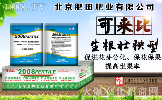 ������ʘI(y��)��ףȫ�����Ѻ��¶����Ц�ݶ����