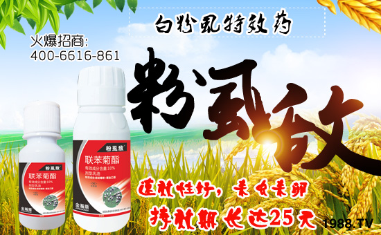 �����˹�r(n��ng)�I(y��)��ףȫ��(gu��)�������w�������f(w��n)��������