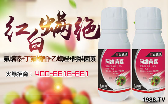 �����˹�r(n��ng)�I(y��)��ףȫ��(gu��)�������w�������f(w��n)�����⣡