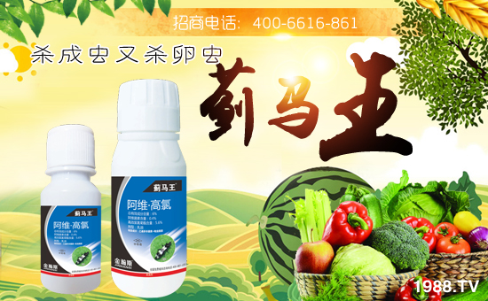 �����˹�r(n��ng)�I(y��)��ףȫ��(gu��)�������w�������f(w��n)��������