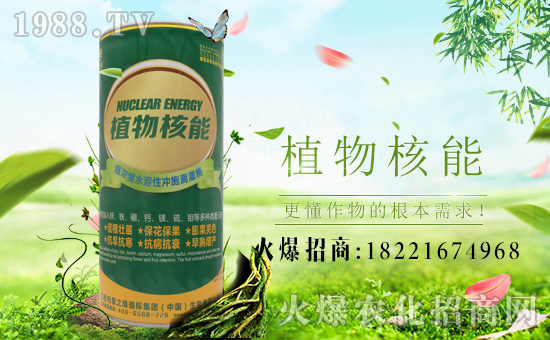 ����֮������ף����´��옷�����w�������H���Ҹ����f��������