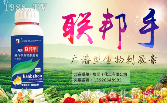 ������(li��n)�����ף�������옷(l��)�����¶����