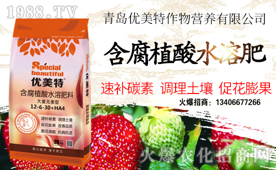 ����(y��u)�������ףȫ���������w�������f�����⣡