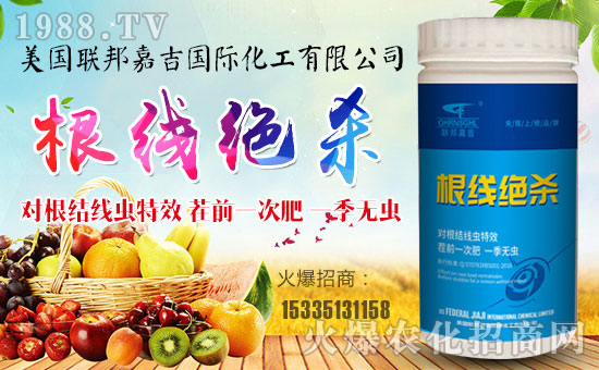 ��(li��n)��μ���ף������µ�һ���������³ɣ��f��������