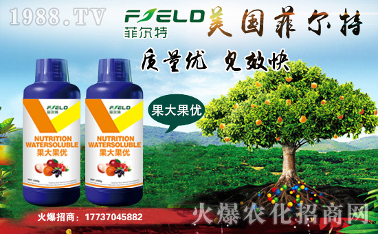 ���Ơ��ء�ףȫ����(j��ng)�N�����т����w���������������