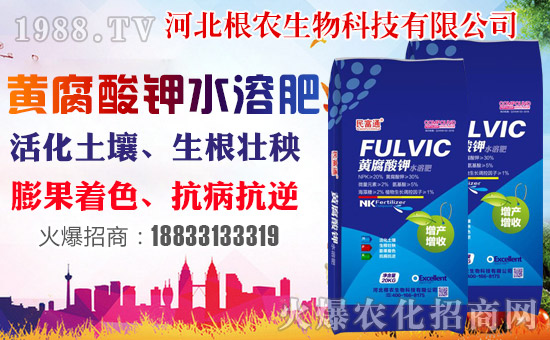 �����r(n��ng)�����ף������������옷�����꼪����