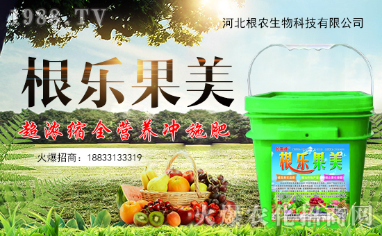 �����r(n��ng)�����ף������������옷�����꼪����