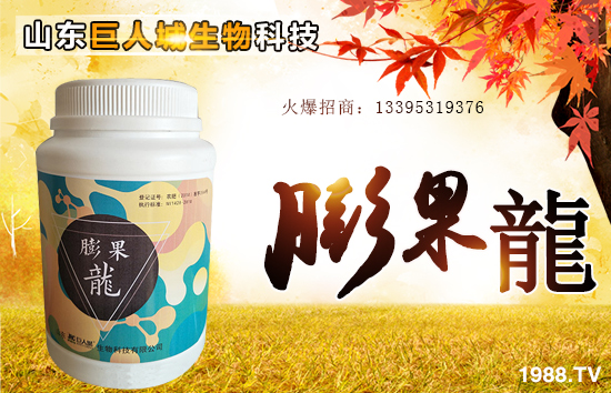 �����˳����ף������µ�һ�������w�����������³����f�����⣡