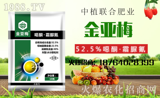����ֲ(li��n)�ϡ�ף������������옷���f�����⣡