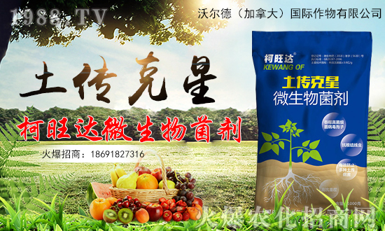 ���֠��¡�ף������µ�һ���﹤�����������������