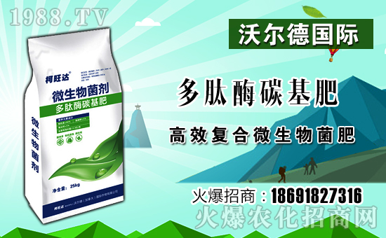 ���֠��¡�ף������µ�һ���﹤�����������������