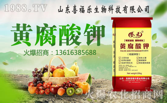 ��ϲ����(l��)��ף������µ�һ���﹤�����������������