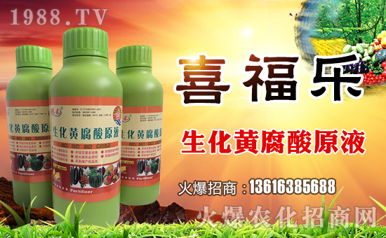 ��ϲ����(l��)��ף������µ�һ���﹤�����������������