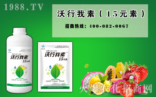     ���_�������͚g��Ę�(l��)�������µ�һ�����҂��߁�(l��i)���o�fӭ��֮�H���҂����ǰٸн�����˼�w�f(w��n)ǧ��