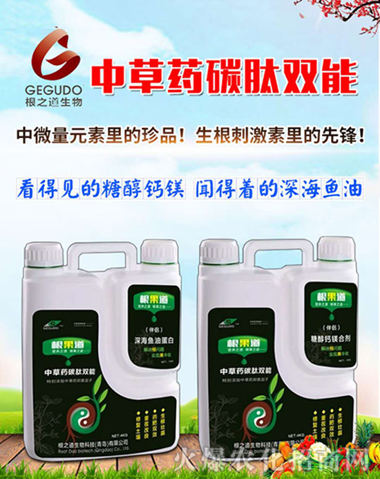 �����u��֮����ףԸһ·�������т����w�������i�꼪����