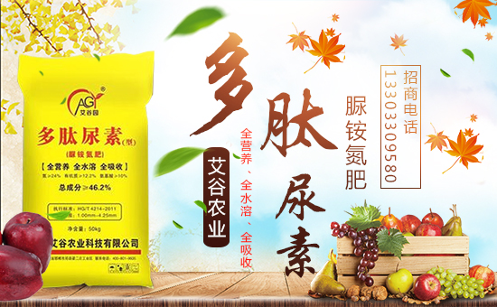     �������r(n��ng)�I(y��)����ף����´��옷�����w�������H���Ҹ����f��������