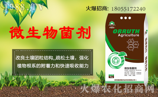 ��Ӣ���W�ʩ��ף���g�gϲϲӭ�i�����f������ƽ������