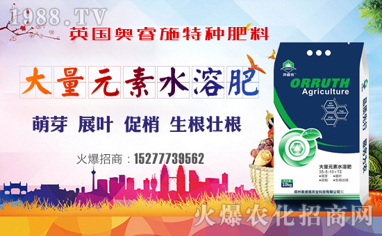 ��Ӣ���W�ʩ��ף���g�gϲϲӭ�i�꣬�f������ƽ������