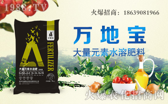 ����ʢ�ʘI(y��)��ף������µ�һ�������w�������H�Қg��(l��)��