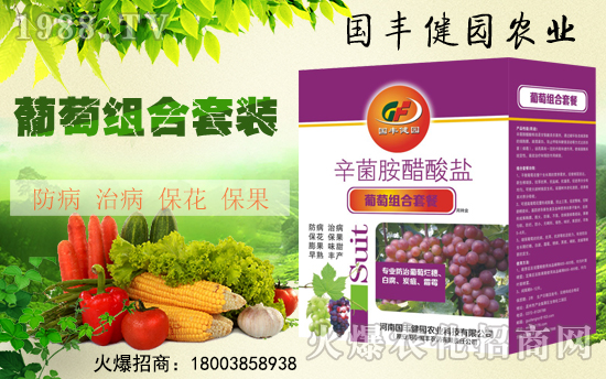 �����S���@��ȫ�w�T��ף����´��옷������������